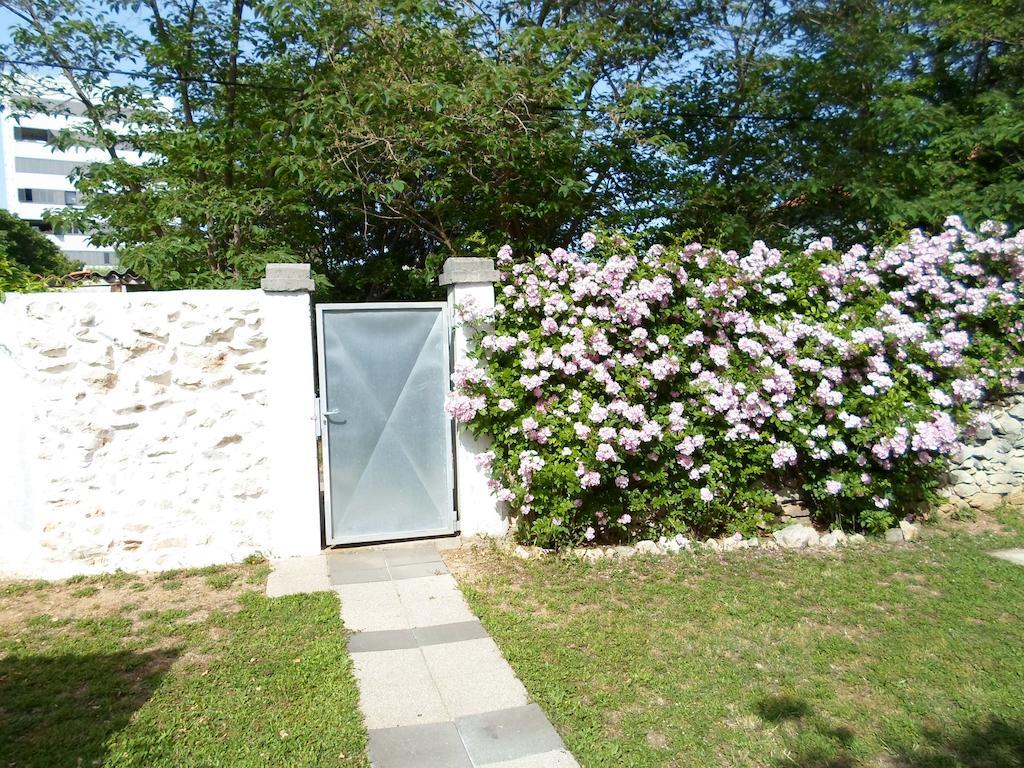 Floresita Zadar