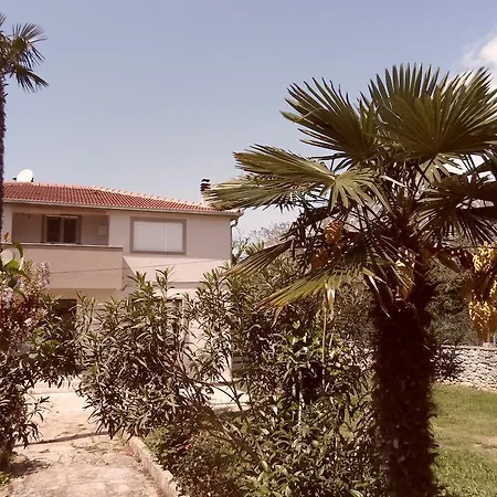 Apartment Floresita Zadar Room photo